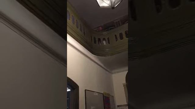 Сильвестрини 5 этюд