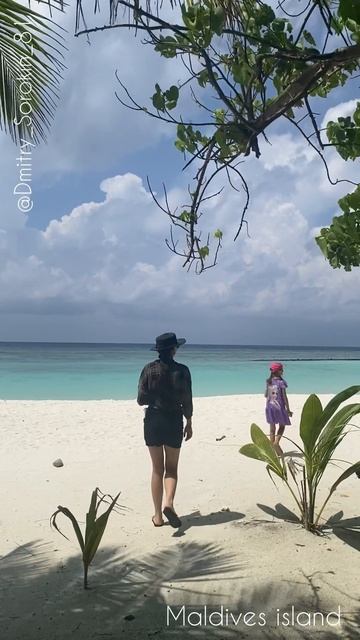 Однажды в будний день. 
Мечты сбываются!