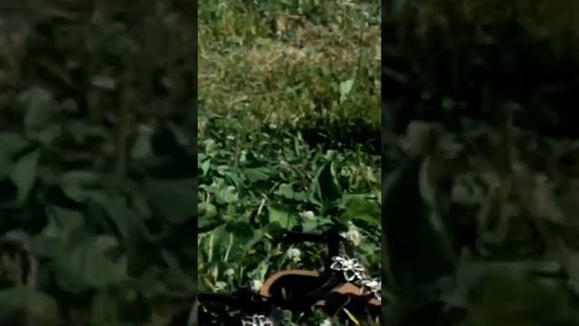 На пляже парень в рваных трусах,хотел подойти к нам по?