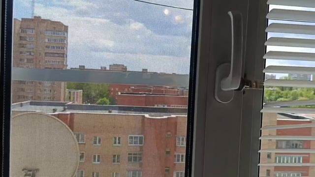 video_2025-05-16_16-49-50