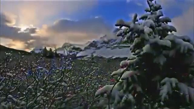 МУЧИБУ РАХМОНИ АНСОРИ РУЗИ МАШХАР