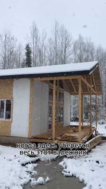 Пока диковато, скоро будет красота! Каркасный дом в лесу #каркасник #строительство #дача #дом #лес