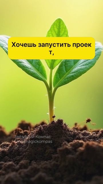 Руна Беркана