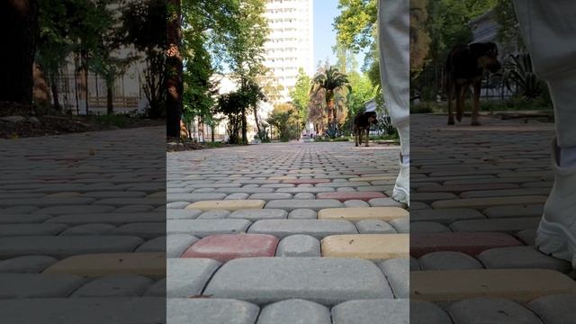 Носки Море из пряжи ручного окрашивания в кейках/Абха?