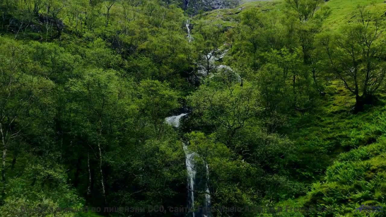 Природа, увиденная через квантовый микроскоп - невероятные детали! - PARCERO CHIMBA -- Compadre Locu