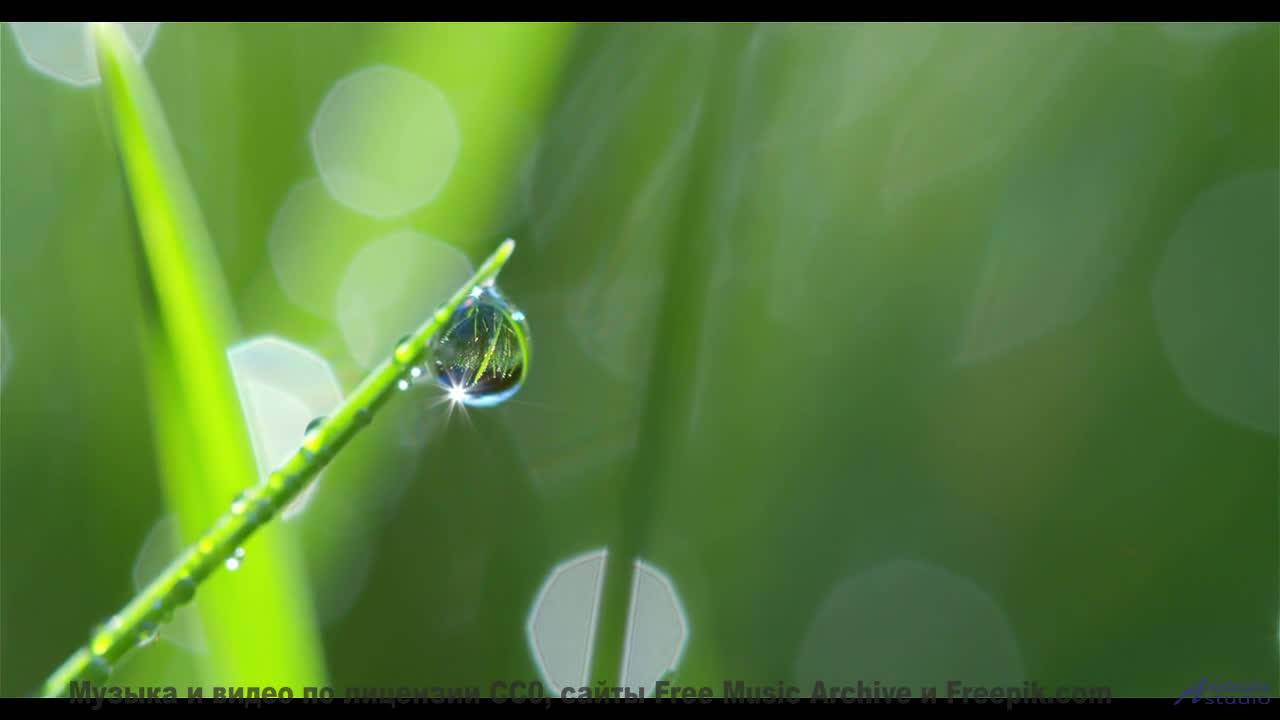 Звук, который слышат только избранные. - Defence Mechanism -- selfpity -- Unhappy Thoughts
