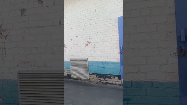 Весна в Шебекино от Ирины 16.05.25.