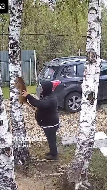 #симба