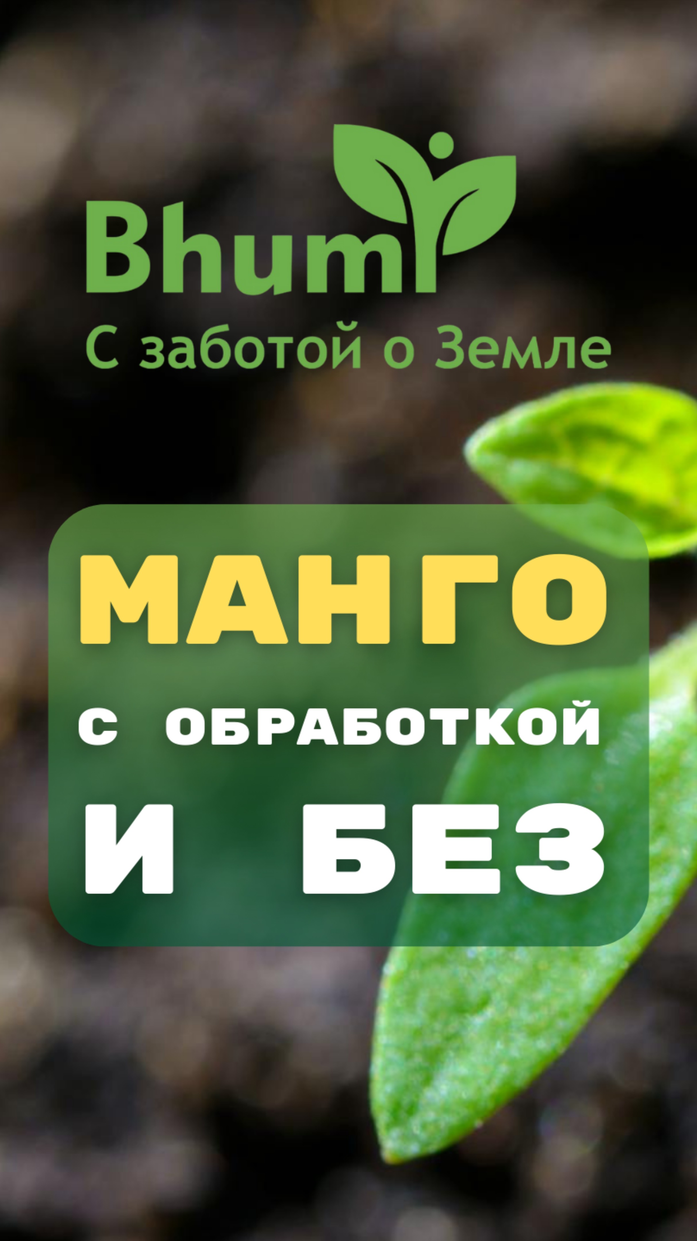bhumi-ceva108@mail.ru