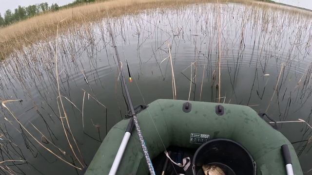 Карась выпрыгивает из воды, плещется, ловим на кивок в камыше