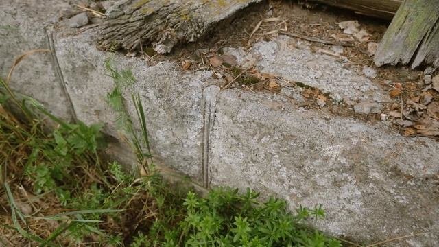 Церковь Сошествия Святого Духа. Вологодская область. Д. Гоша
