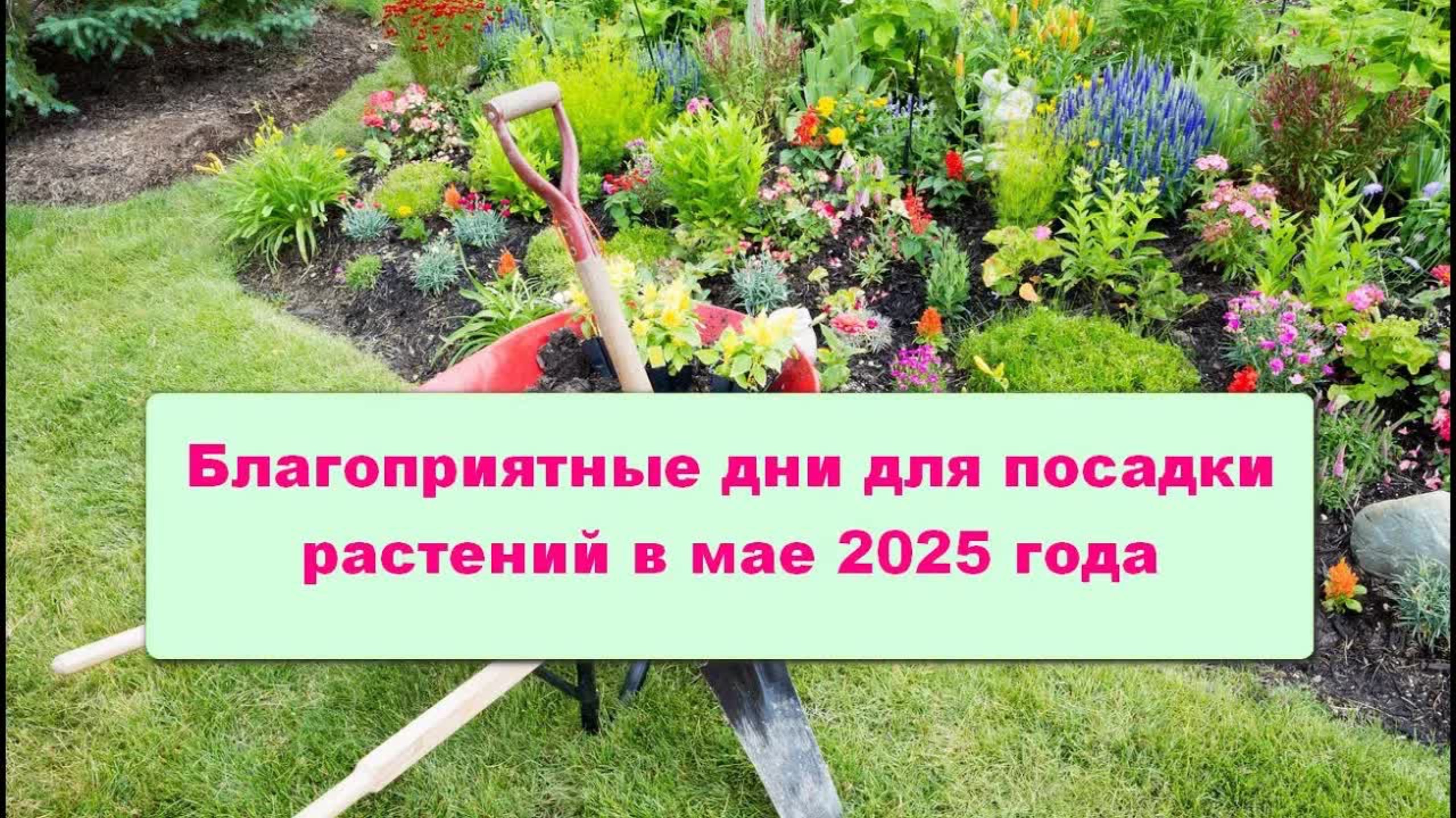 Благоприятные дни для посадки растений в мае 2025 года по Лунному календарю