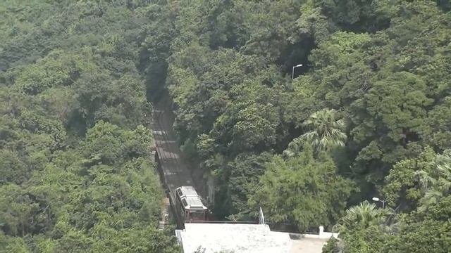 Поездка на Victoria Peak