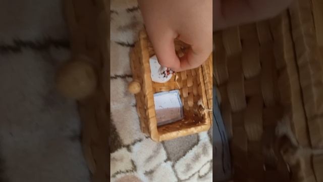 ХОМЯЧИХА!!!!!))))))
