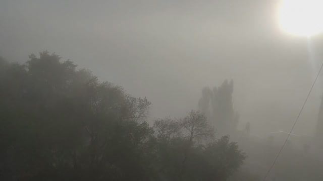 Утро туманное - май 2025г. Воронеж