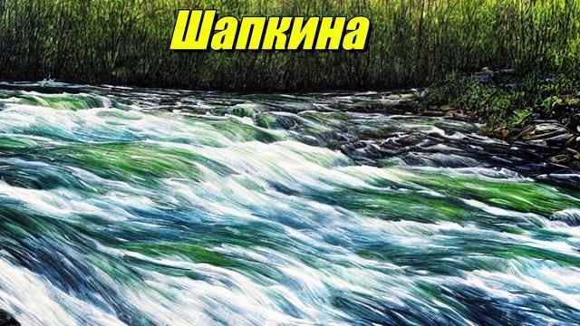 Шапкина