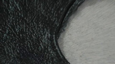 АПЦ "АгроСВІТ"