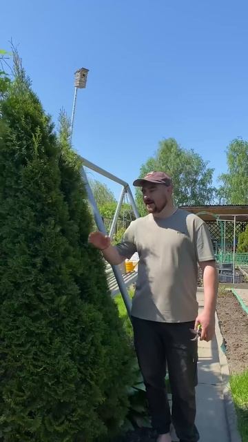 Не выбрасывайте старые ящики