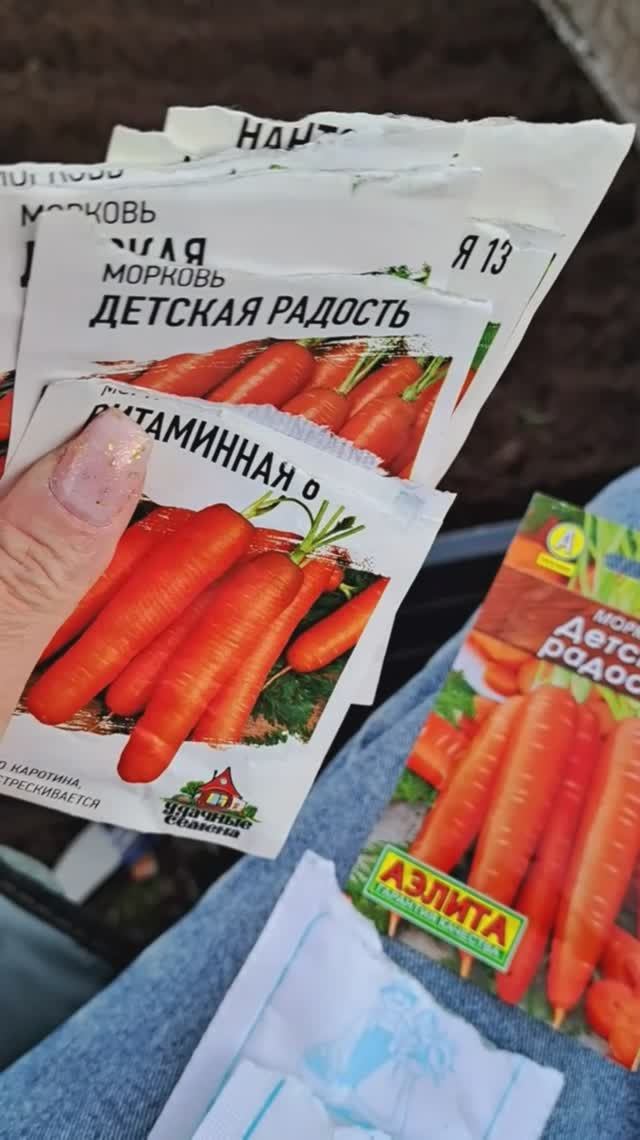 Посадили морковь!🥕🥕🥕