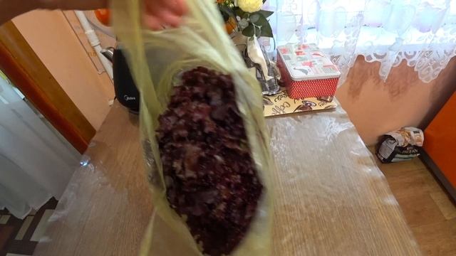 ВЛОГ : ВСЁ ВЗОШЛО / С САМОГО УТРА НА ДАЧУ