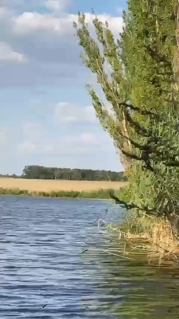 Классная погода