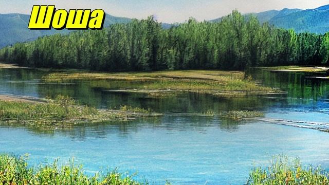 Шоша