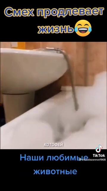 Наши угарные и смешные питомцы! 😂😁😁