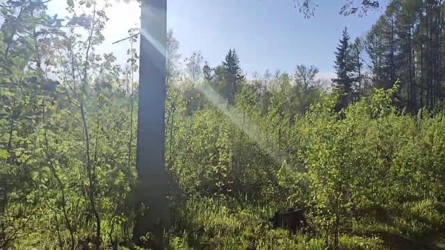 Земельный участок ул. Кирпичная г. Йошкар-Ола