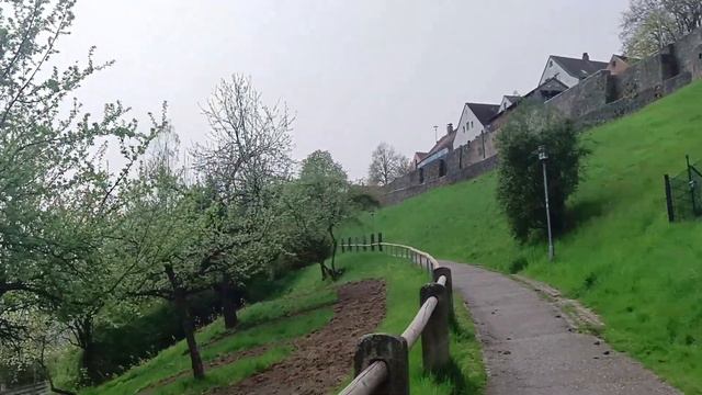 Бровченко. Покупки в интернете. Обзор влогов. 28 06 2024 Бровченко