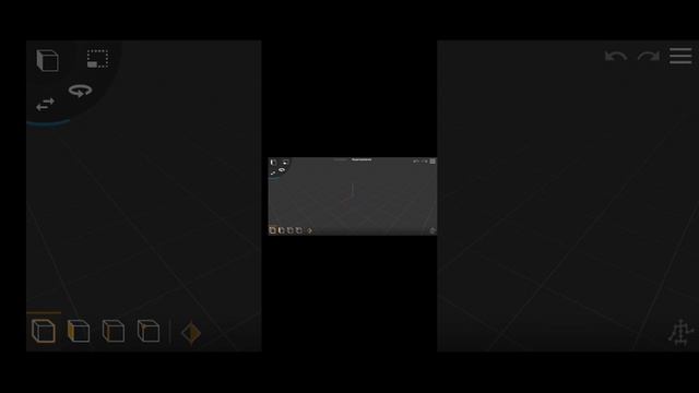 1000110698.mp4