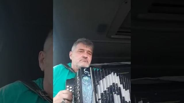 снег на зеленых листьях..