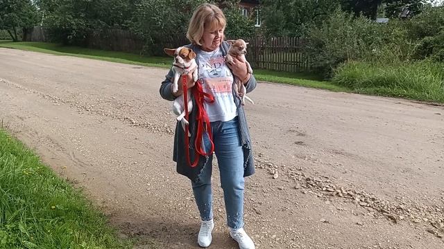 Путешествие с Лушей. Луша+1