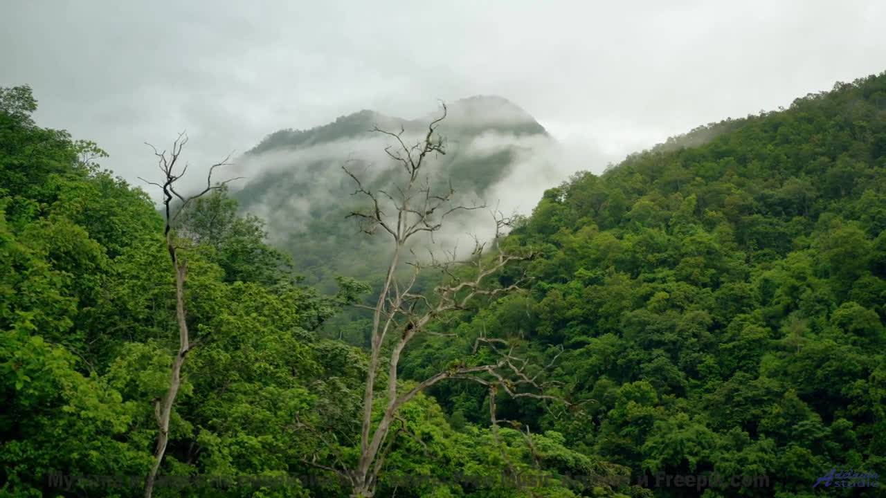 Почему мудрецы медитируют под эти звуки Истина здесь! - Alien -- Golden Duck Orchestra -- Golden Duc