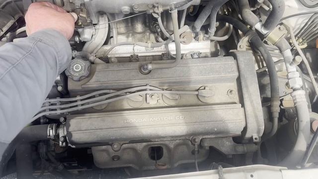 share RF1-1279801