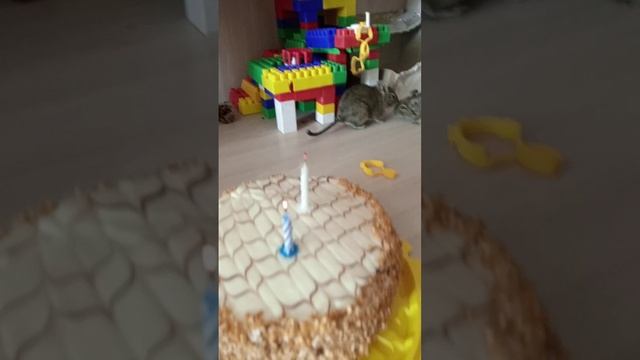Вчера было День Рождения моих Бе́лок!!!