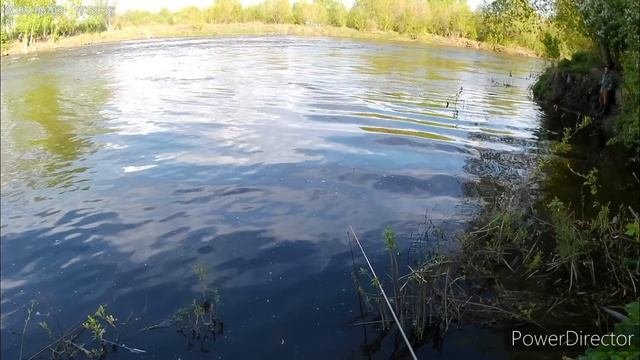 Однажды в мае... Ловил я карася :-)