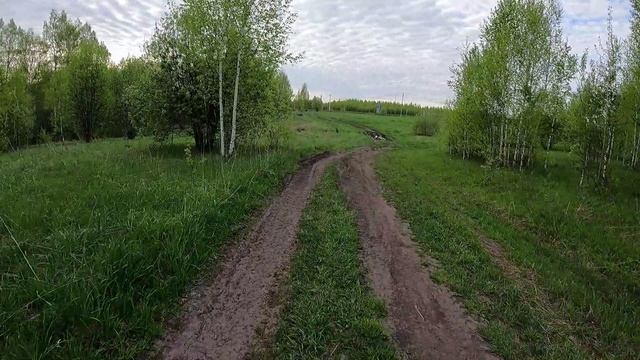 День 489. И снова в поле. Дистанция 18 километров.