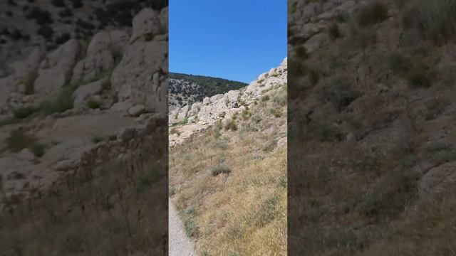генуезские башни балаклава