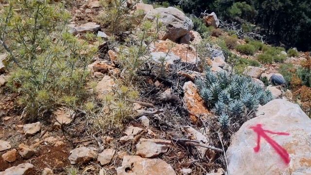 ЛИКИЙСКАЯ ТРОПА ЛЕТОМ или ЧТО МОЖЕТ ПОЙТИ НЕ ТАК? МОЯ О