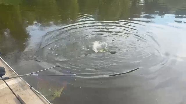 Спорт зона