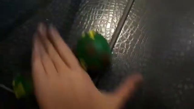 Вещи моего щенка/первое видео