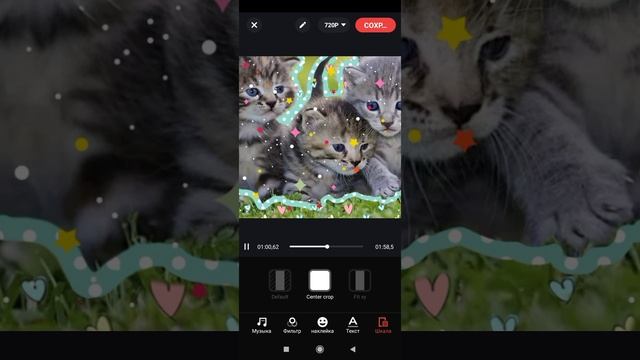 обзор на милых котиков 🐈