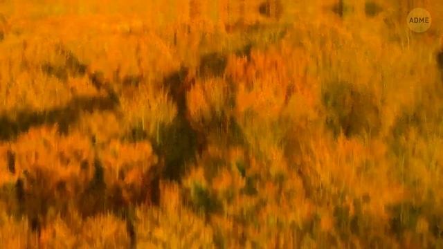 Если вы видите это в небе, значит, приближается нечто серьезное