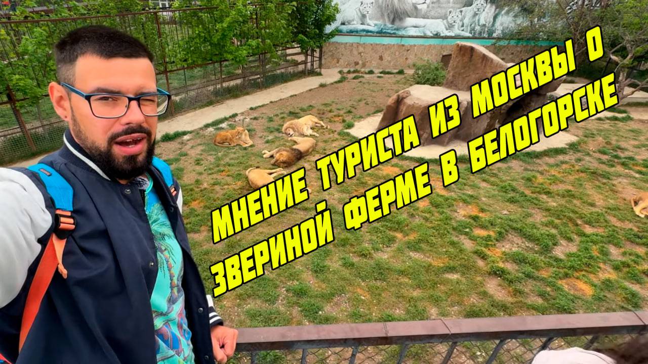 Мнение туриста из Москвы о парке львов Тайган - обзор, 16 мая
