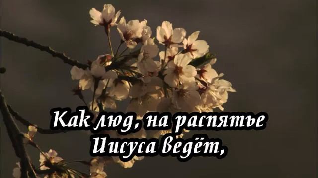 Ксения Лапицкая - Путь на Голгофу далёк(-)
