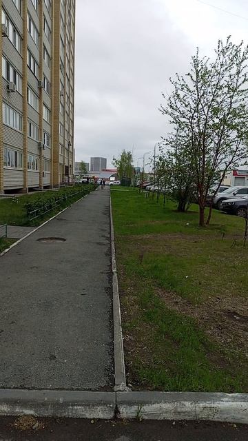 Установил ДХО проверяю 5