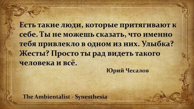 The Ambientalist - Synesthesia