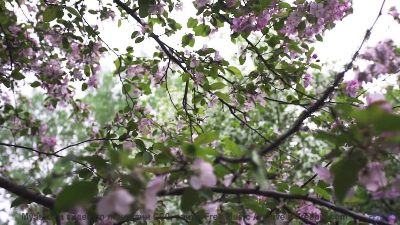 Леса и поля звучат как симфония чувств - Modern Kosmology -- Jane Weaver -- Live at WFMU for Sophist