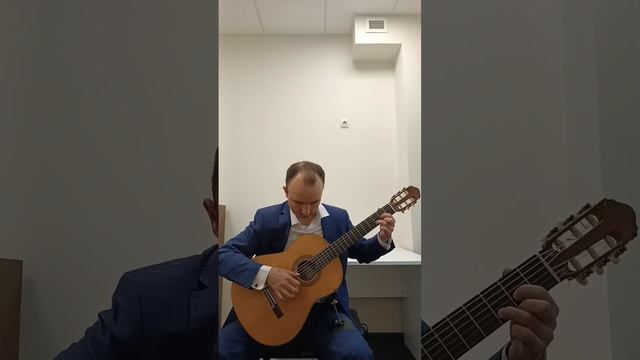 Paul McCartney "We can work it out" (cover by A. Dmitriev).