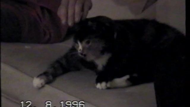 1996_US_3